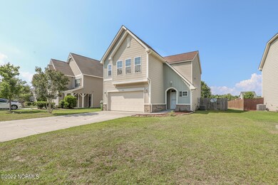 426 Bald Cypress-06