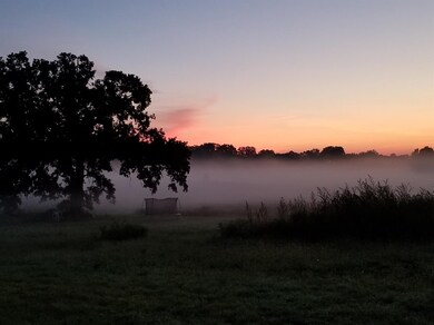 2652 N Dancer Rd, Dexter, MI 48130 - photo 2