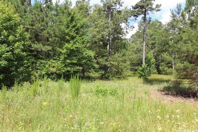 0 Highway 167 S unit 20002810, Sheridan, AR 72150 - photo 6