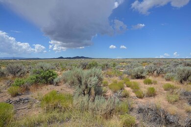 DSC_3617-min