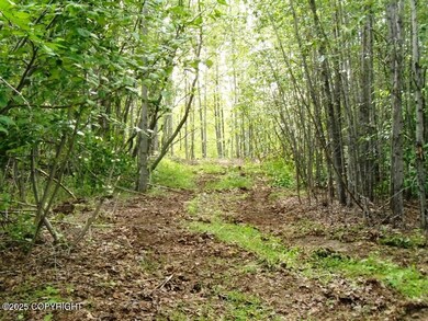 Tr 3 Park Dr, Anchorage, AK 99567 - photo 5