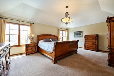 23741 Deer Chase Ln, Naperville, IL 60564 - photo 3