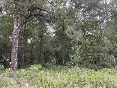 Mature Trees