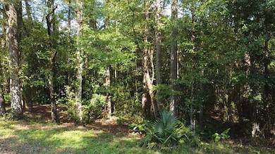 0 Baumhauer Dr, Prichard, AL 36613 - photo 4