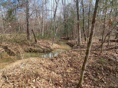 15292 Big Oak Bay Rd, Tyler, TX 75707 - photo 7