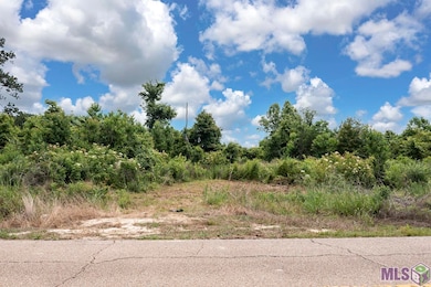 23060 Carson Rd, Pride, LA 70770 - photo 6