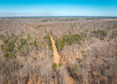 DJI_20240321135037_0150_D