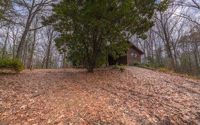 111 Pinson Ln, Ellijay, GA 30540 - photo 3