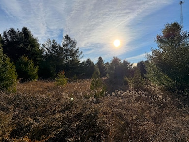 0 Brevort Lake Rd unit 25-1160, Moran, MI 49760 - photo 5