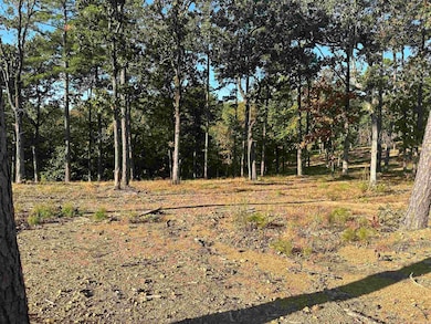 2915 Orchard View Dr, Conway, AR 72034 - photo 4