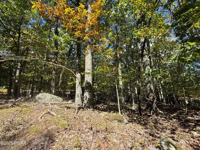 0 Paper Birch Rd N, Tafton, PA 18464 - photo 5