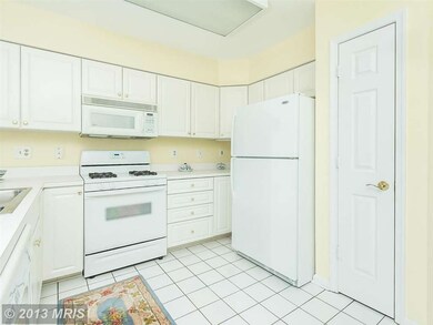 403 Plumbridge Ct unit 304, Lutherville Timonium, MD 21093 - photo 6
