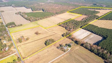 1432 S Friendfield Rd, Scranton, SC 29591 - photo 7