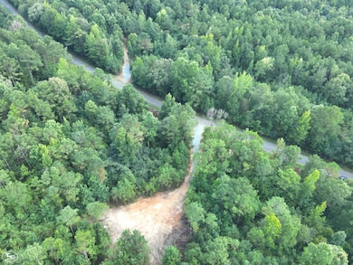 0 Martin Luther King Hwy, Eutaw, AL 35462 - photo 3