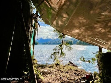 L3B2 Port Protection, Port Protection, AK 99000 - photo 7