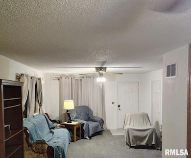 205 S 8th St unit 1, Riverton, IL 62561 - photo 4