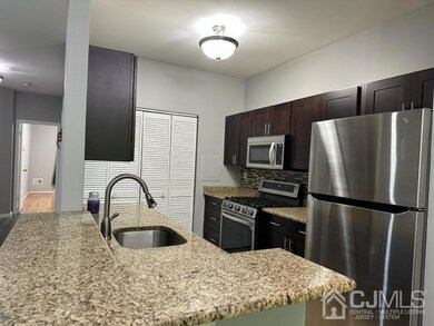 6041 Cedar Ct unit 6041, Monmouth Junction, NJ 08852 - photo 6