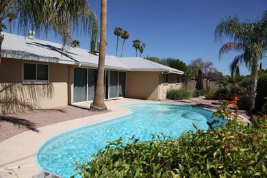 Backyard Pool