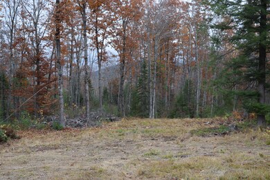 Map16Lot19 Hemlock Bridge Rd, Fryeburg, ME 04037 - photo 6