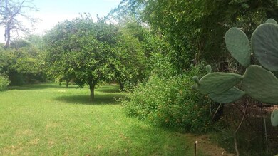 backyard 1