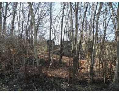 187 Davis Ave, Greenwich, CT 06830 - photo 4