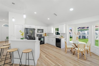 315 Tavernier Dr, Oldsmar, FL 34677 - photo 3