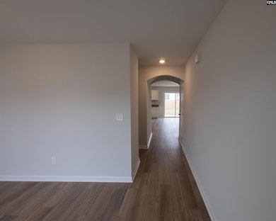 1062 Begonia Dr, Lexington, SC 29073 - photo 3