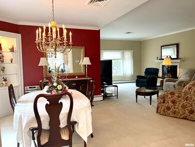 240 Lincoln Ave, Lincoln, IL 62656 - photo 7