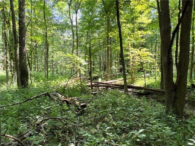 0 Ruff Rd unit 4496008, West Salem, OH 44287 - photo 5