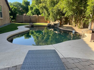 Gorgeous Pool