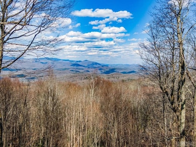 PS 1&2 Panther Summit Dr, Lake Toxaway, NC 28747 - photo 2