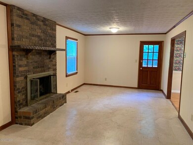 Den with Fireplace