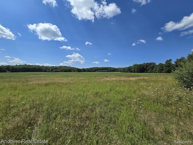 00B Leckrone Rd, Brown Township, MI 49619 - photo 6