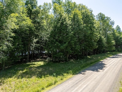 lot 5 Black Cat Point, Princeton, ME 04668 - photo 3