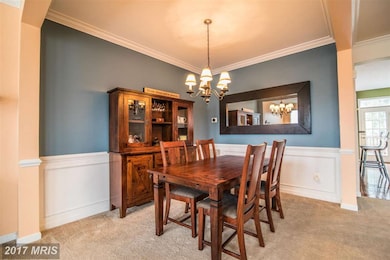 21520 Iredell Terrace, Broadlands, VA 20148 - photo 5