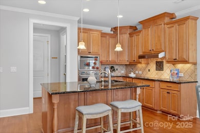 11756 Easthampton Cir, Charlotte, NC 28277 - photo 6