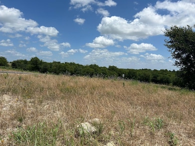 2517 Tom Chaney Dr unit 103, Cresson, TX 76035 - photo 7