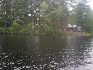 View of property from the water