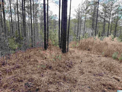 680 Sweet Apple Rd, Pell City, AL 35128 - photo 6