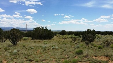 995 Ranch View Loop, White Oaks, NM 88301 - photo 6