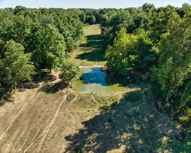 DJI_20240904154556_0023_D