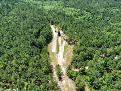 0 St Hwy 59 unit 348142, Stockton, AL 36579 - photo 5