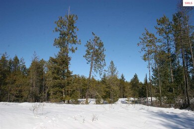 B1 NNK Northern Sky Rd, Athol, ID 83801 - photo 6