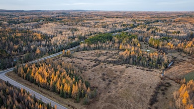 TBD Hwy 21, Babbitt, MN 55706 - photo 3