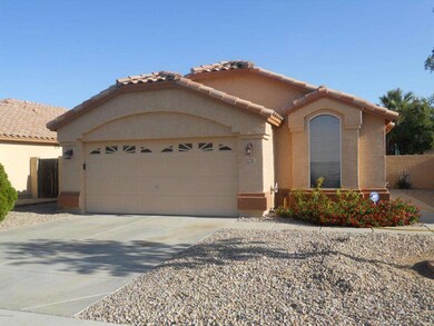 12738 palm2 001