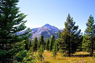 TBD Swift Bear Lot 245, Big Sky, MT 59716 - photo 4