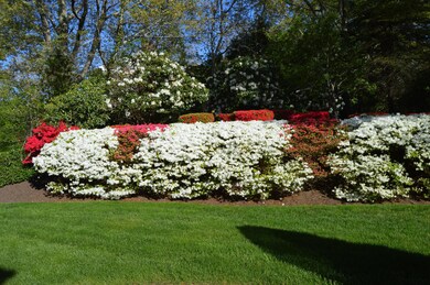 3 Bounty Ln, Falmouth, MA 02540 - photo 3