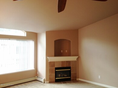 Corner Gas Fireplace w/TV Nitch