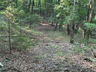 Tract-B Madison Cr 6021, Elkins, AR 72727 - photo 7