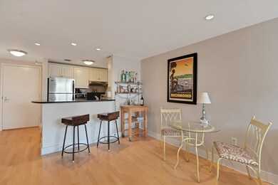 Parris Landing unit 5518, Charlestown, MA 02129 - photo 4